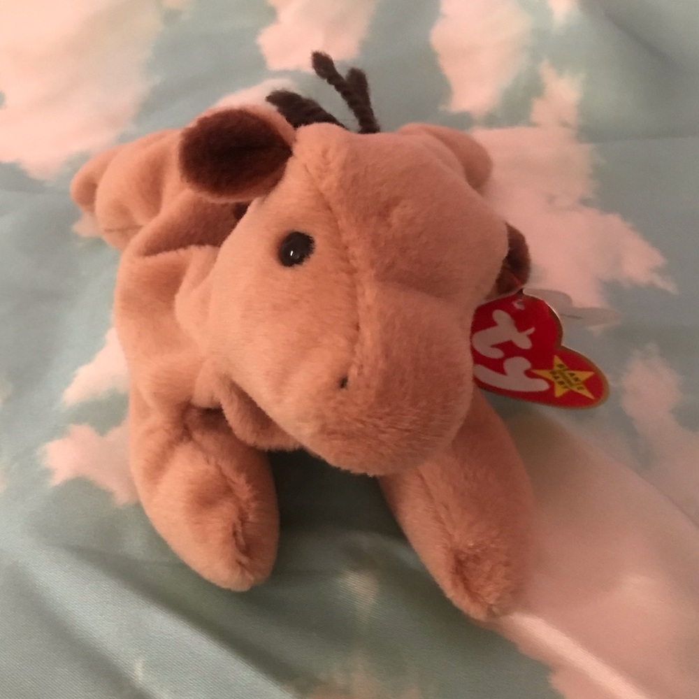 1995 Derby Ty - Picture 2 of 5